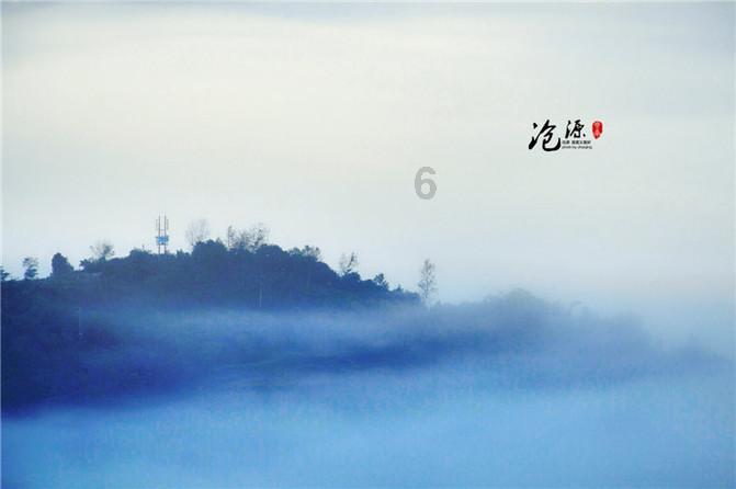 仙人球徒长还能开花吗?-问答类网站,精准解答你的问题
