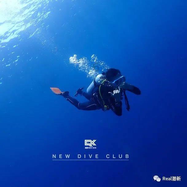 球球大作战下载最新版